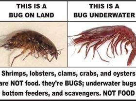 Screenshot20240522-113105