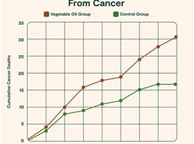 vegetableoilcausesdeathfromcancer