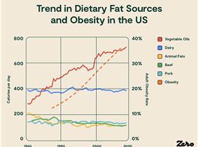 TrendsindietaryfatsourcesandobesityintheUS