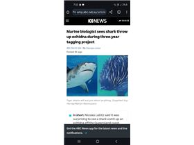 Screenshot20240606-193224Chrome