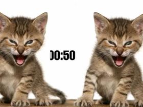 Screenshot20240608-031651YouTube