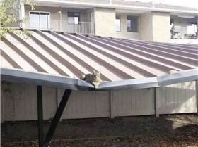 Screenshot20240613-200718