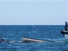 Screenshot20240614-073856