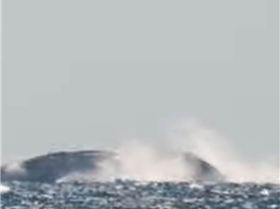 Screenshot20240614-100423~2