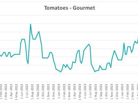 Screenshot 2024-06-20 174206