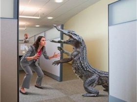 e410e1a2b0a6a5a2beaccfbd1866269a-1438649158