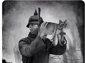 4529509799140566240915527177286554454531587n