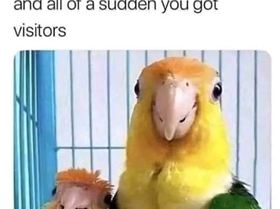 45820993010365877751399414215507348551328108n