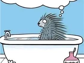 Screenshot20240921061637Gallery