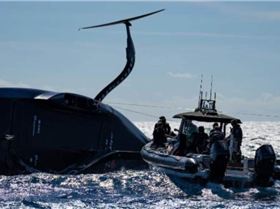 Screenshot20240930-133120