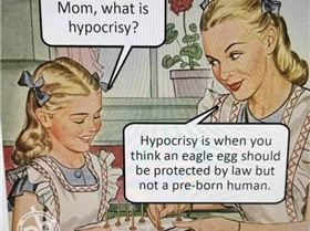 Screenshot 2024-11-14 180448