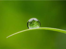 Screenshot20241114230337Chrome