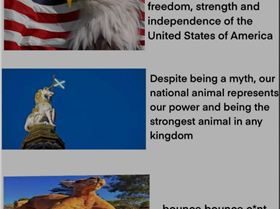 Screenshot20241126-125302