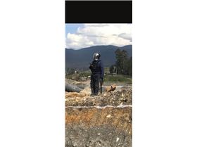 Screenshot20241228-233308Gallery