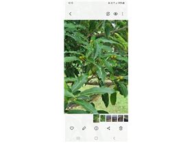 Screenshot20250109161207Gallery