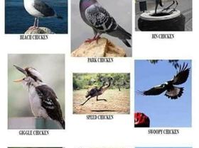 Screenshot20250110-111304