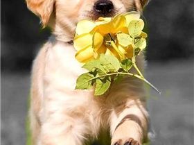 b3868a3d0c4149b99be6944a2904f43d-2822607399