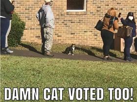 QXI37LQUTFA7HBPM7BOCYKCOXI-3622350777