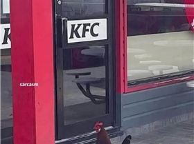 Screenshot20250211-205008