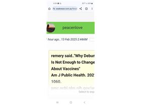 Screenshot20250213-063944Chrome