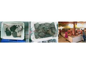 Screenshot 2025-02-19 183654