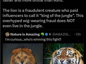 wig-wearing-im-never-going-to-look-at-a-lion-the-same-way-v0-pzanamvyn4ke1