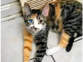 48198168111716178376587484312768151162794898n