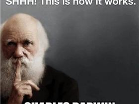 Screenshot20250314-103700