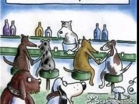 Screenshot20250325-091003