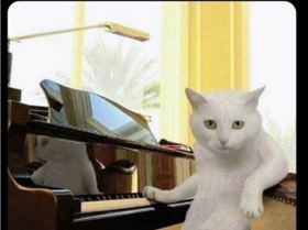 att.M8DbjQ7uPyf14vFIjb52FNRqGn7S32UdMk7Jc8HzQ