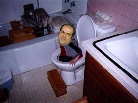 Stewie returns to seabreeze