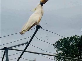 Screenshot20250527-062406