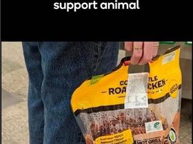 49560603711258129295677358822118919074801623n