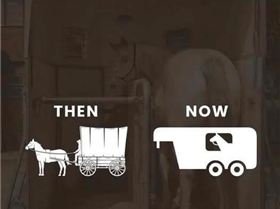 504023569185113738240106772229447880685344851n