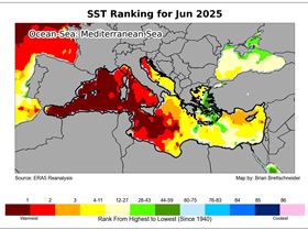 51711912612769929637844535268380976790714626n