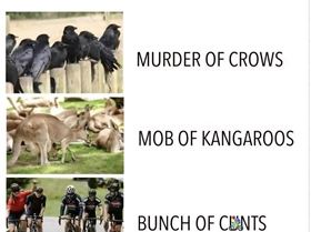 54899264717302410077549096193236640043088945n