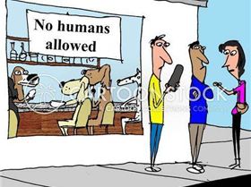 animals-animals-pet-dogfriendly-dogcafes-dogowners-jknn2777low