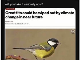 Screenshot 2026-01-18 at 10.06.33