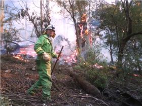 Rakehoe crew in Tara Bulga National Park