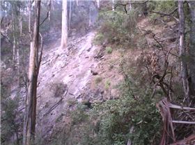 Typical Rakehoe country in Tara Bulga N.P.