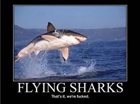 flying sharks