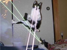 f 9922386Lasem ceaede5