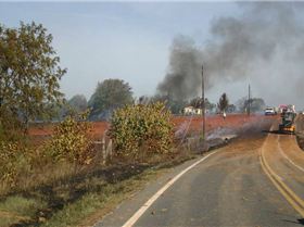 Dial before you dig...they never found the guy with the digger