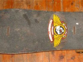 Powell Peralta McGill