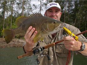 Black Bass in PNG (May 2009)