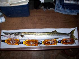 camping redbanks 046