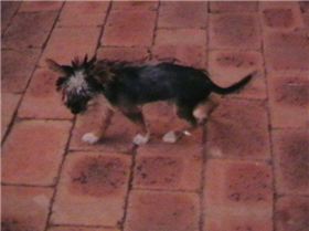 Niki----------------------