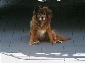 Miki---------------------