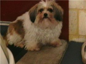 Kiki ----------------