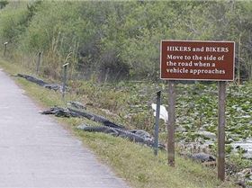 Pay your road tax or else...